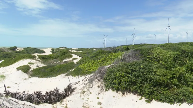 Pesquisadores relatam impactos socioambientais das grandes usinas solares e parques eólicos na Paraíba