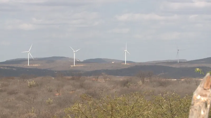 Pesquisadores relatam impactos socioambientais das grandes usinas solares e parques eólicos na Paraíba