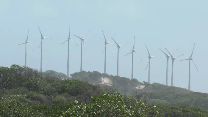 Pesquisadores relatam impactos socioambientais das grandes usinas solares e parques eólicos na Paraíba