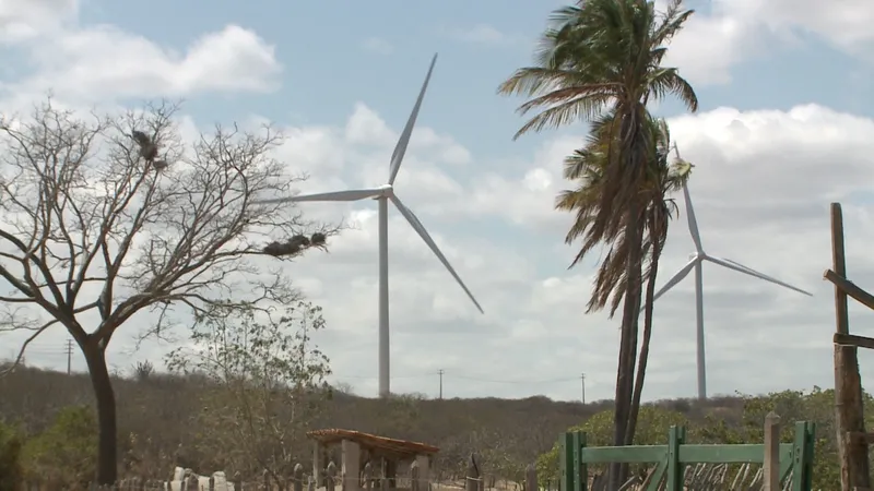 Pesquisadores relatam impactos socioambientais das grandes usinas solares e parques eólicos na Paraíba