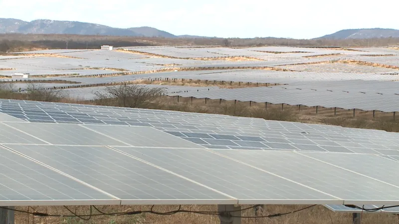 Pesquisadores relatam impactos socioambientais das grandes usinas solares e parques eólicos na Paraíba