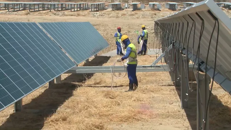 Pesquisadores relatam impactos socioambientais das grandes usinas solares e parques eólicos na Paraíba