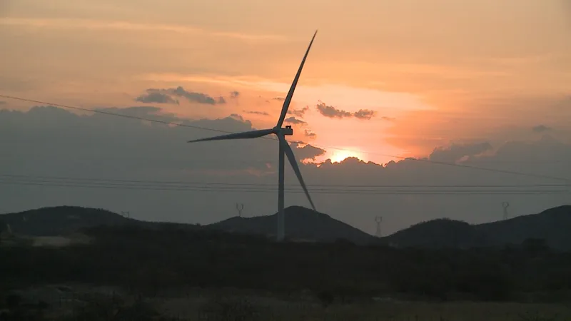 Pesquisadores relatam impactos socioambientais das grandes usinas solares e parques eólicos na Paraíba