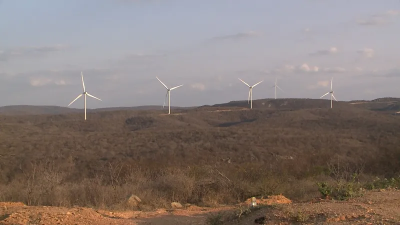 Pesquisadores relatam impactos socioambientais das grandes usinas solares e parques eólicos na Paraíba