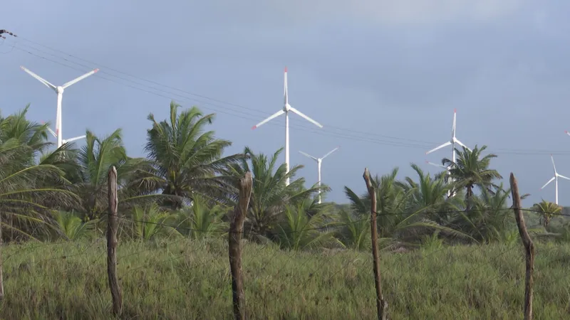 Pesquisadores relatam impactos socioambientais das grandes usinas solares e parques eólicos na Paraíba