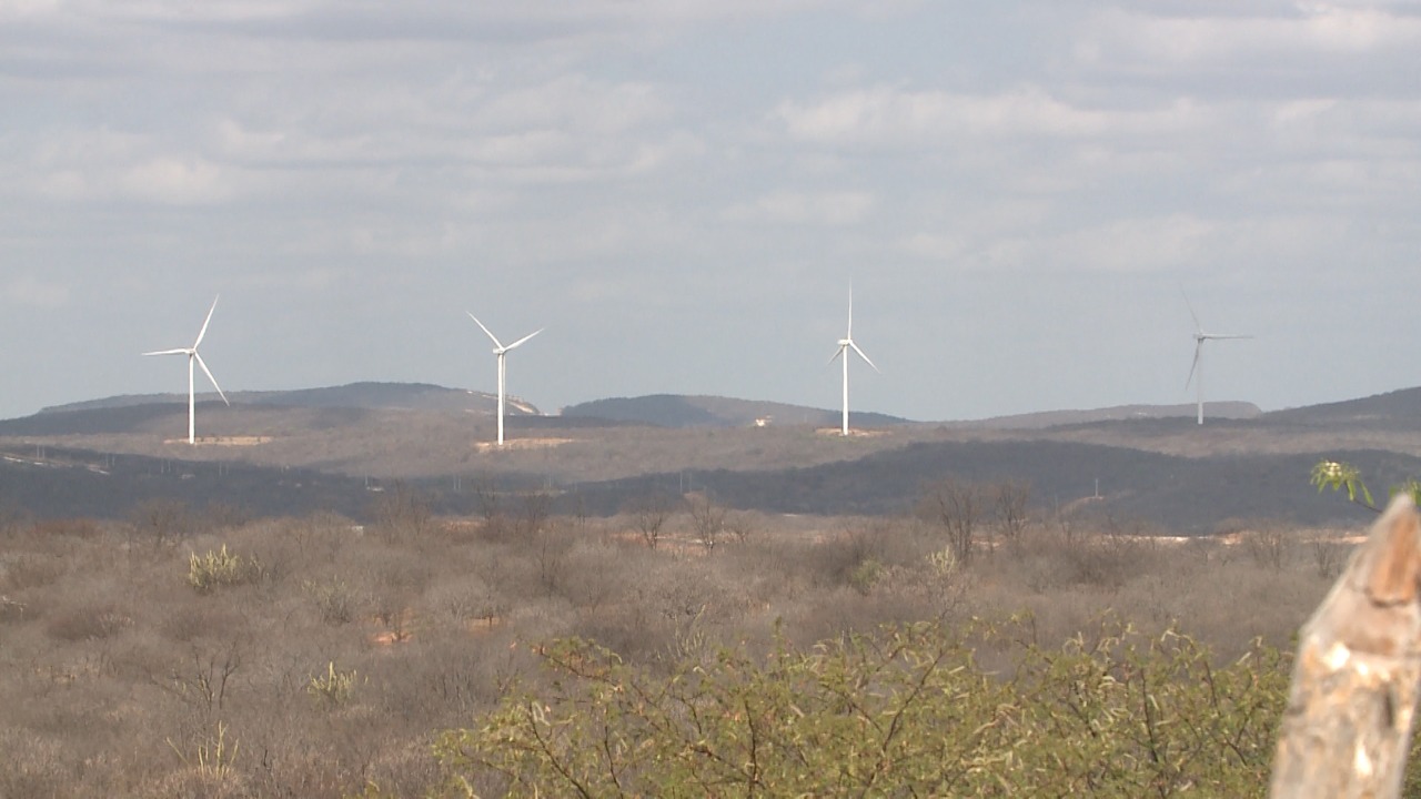 Pesquisadores relatam impactos socioambientais das grandes usinas solares e parques eólicos na Paraíba