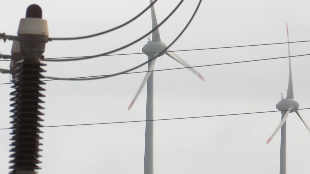 Pesquisadores relatam impactos socioambientais das grandes usinas solares e parques eólicos na Paraíba