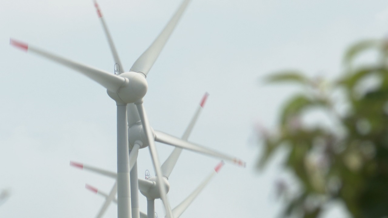 Pesquisadores relatam impactos socioambientais das grandes usinas solares e parques eólicos na Paraíba