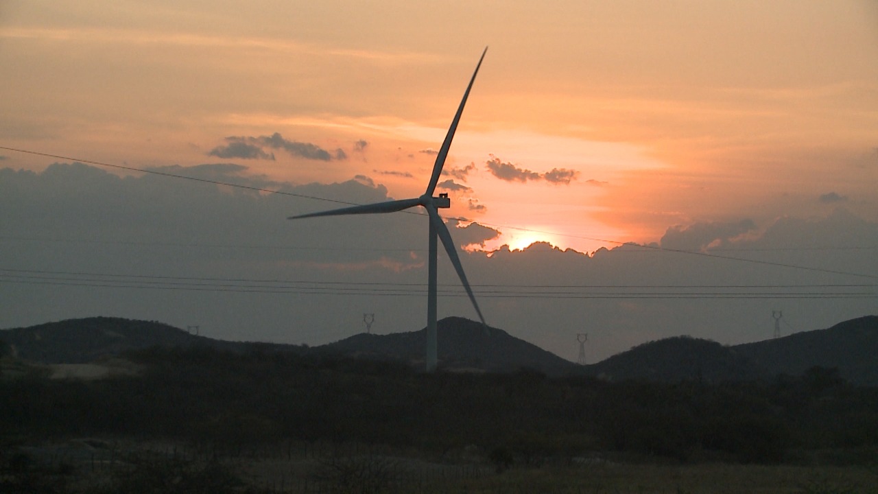 Pesquisadores relatam impactos socioambientais das grandes usinas solares e parques eólicos na Paraíba