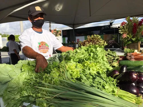 
				
					Feiras agroecológicas e venda de orgânicos em João Pessoa
				
				