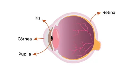 
				
					Retinoblastoma, o câncer da filha do Thiago Leifert
				
				