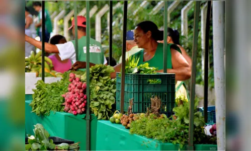 
				
					Feiras agroecológicas e venda de orgânicos em João Pessoa
				
				