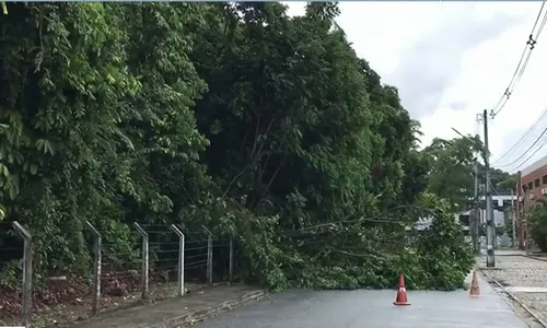 
                                        
                                            Volume de chuvas em João Pessoa está dentro do previsto, diz Defesa Civil
                                        
                                        