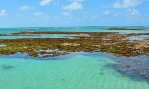 
                                        
                                            Piscinas naturais do Seixas: passeio paradisíaco a poucos minutos de João Pessoa
                                        
                                        