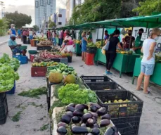 Venda de produtos agroecológicos une praticidade e tecnologia