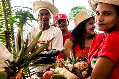 
				
					Venda de produtos agroecológicos une praticidade e tecnologia
				
				