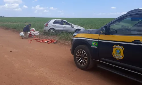 
                                        
                                            PRF apreende 245 kg de drogas em ação iniciada na divisa da PB com o RN
                                        
                                        