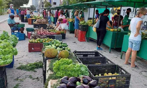 
                                        
                                            Venda de produtos agroecológicos une praticidade e tecnologia
                                        
                                        