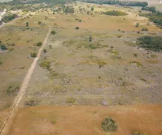 Projeto regenera 25 hectares de terra degradada na Grande João Pessoa