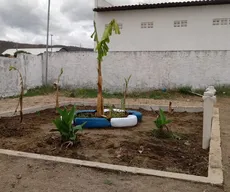 Projeto da UFPB desenvolve modelo de ecofossa para reúso de água após tratamento esgoto