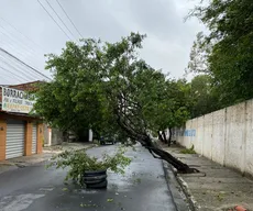 Campina Grande registra mais de 30 ocorrências devido a fortes chuvas