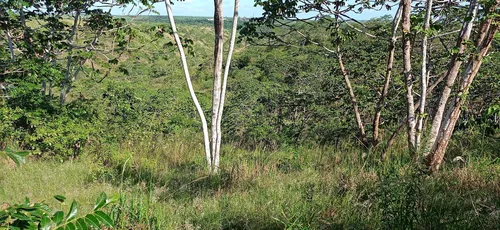 
				
					Projeto regenera 25 hectares de terra degradada na Grande João Pessoa
				
				