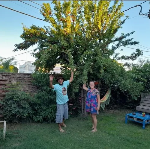 
				
					Resistência lúdica: família comemora o Dia do Circo pedindo mais valorização da arte
				
				