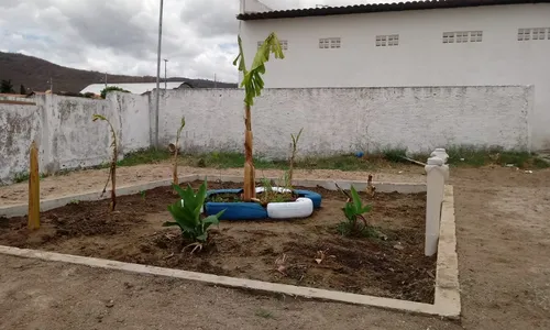 
                                        
                                            Projeto da UFPB desenvolve modelo de ecofossa para reúso de água após tratamento esgoto
                                        
                                        