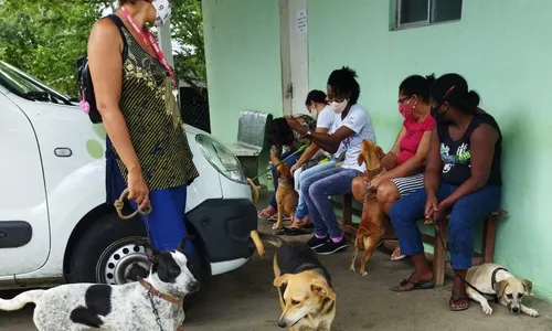 
                                        
                                            Centro de Zoonoses de Campina Grande realiza cadastro para mutirão de castração
                                        
                                        