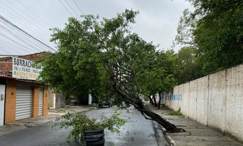 
                                        
                                            Inmet alerta para perigo potencial de chuvas em João Pessoa e outras 33 cidades da Paraíba
                                        
                                        