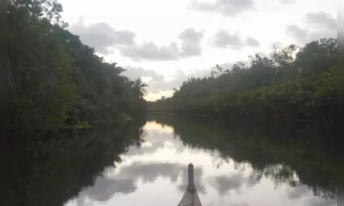 
				
					Águas de rios da mata atlântica na PB não têm boa qualidade, diz SOS Mata Atlântica
				
				