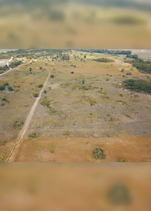 
                                        
                                            Projeto regenera 25 hectares de terra degradada na Grande João Pessoa
                                        
                                        