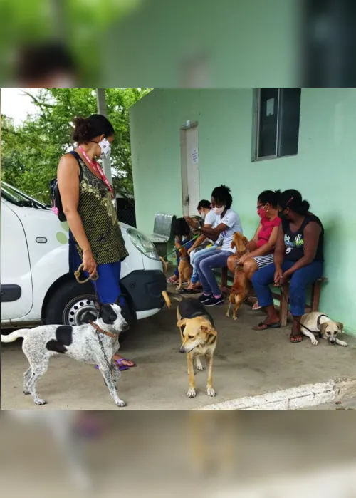 
                                        
                                            Centro de Zoonoses de Campina Grande realiza cadastro para mutirão de castração
                                        
                                        