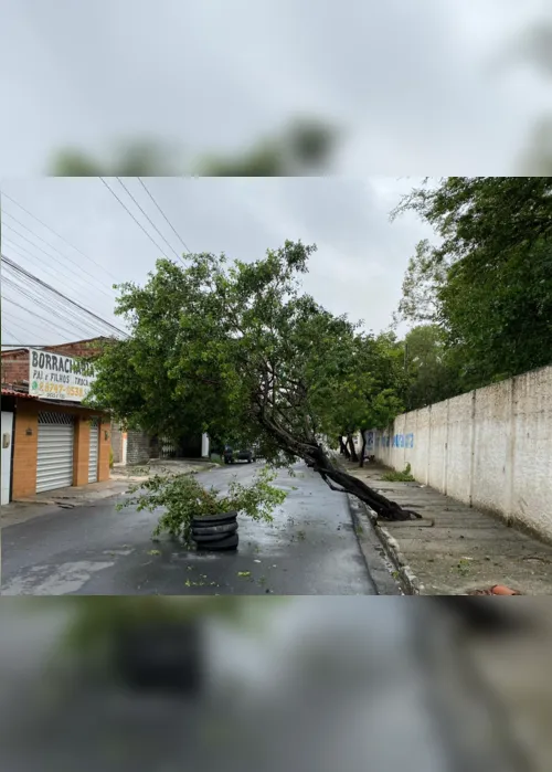 
                                        
                                            Campina Grande registra mais de 30 ocorrências devido a fortes chuvas
                                        
                                        