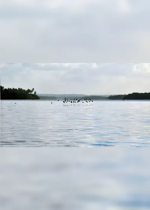 
                                        
                                            Águas de rios da mata atlântica na PB não têm boa qualidade, diz SOS Mata Atlântica
                                        
                                        