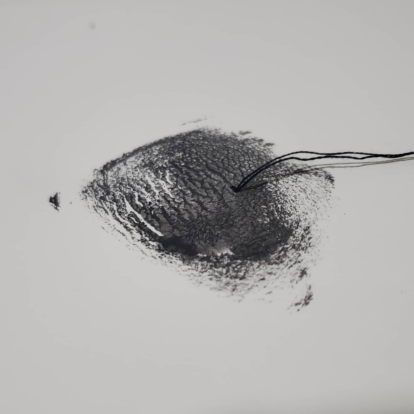 Eu-mulher artista: conheça o trabalho de Morgana Ceballos