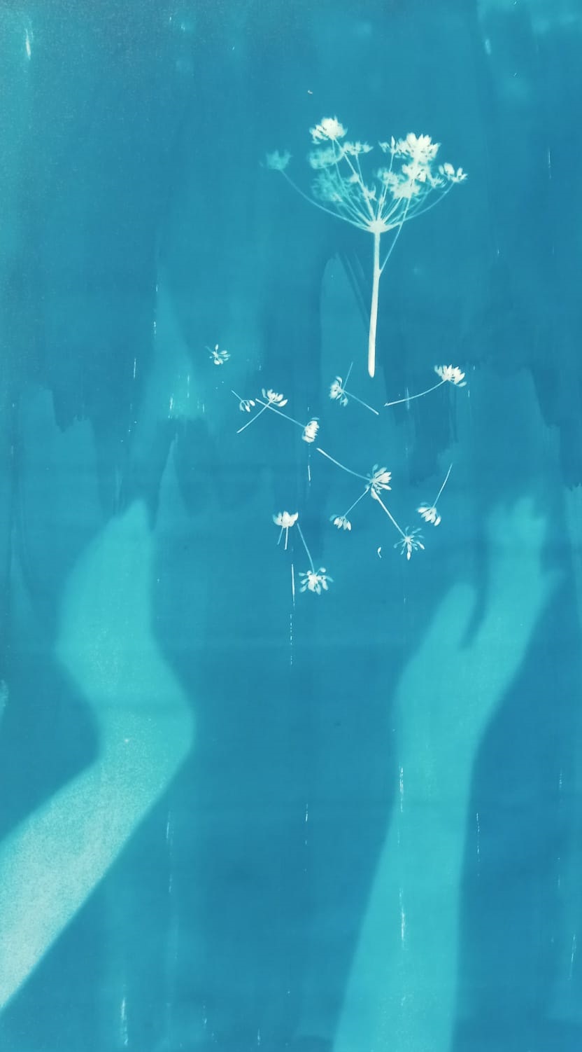 Eu-mulher artista: conheça o trabalho de Li Vasc