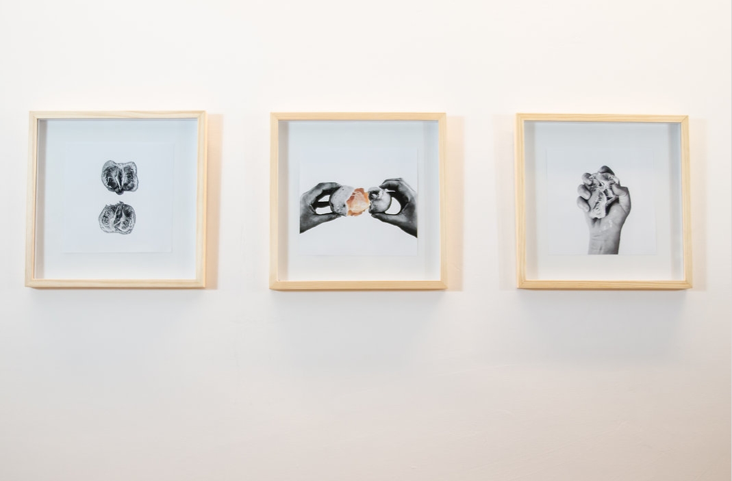 Eu-mulher artista: conheça o trabalho de Carinne Lira