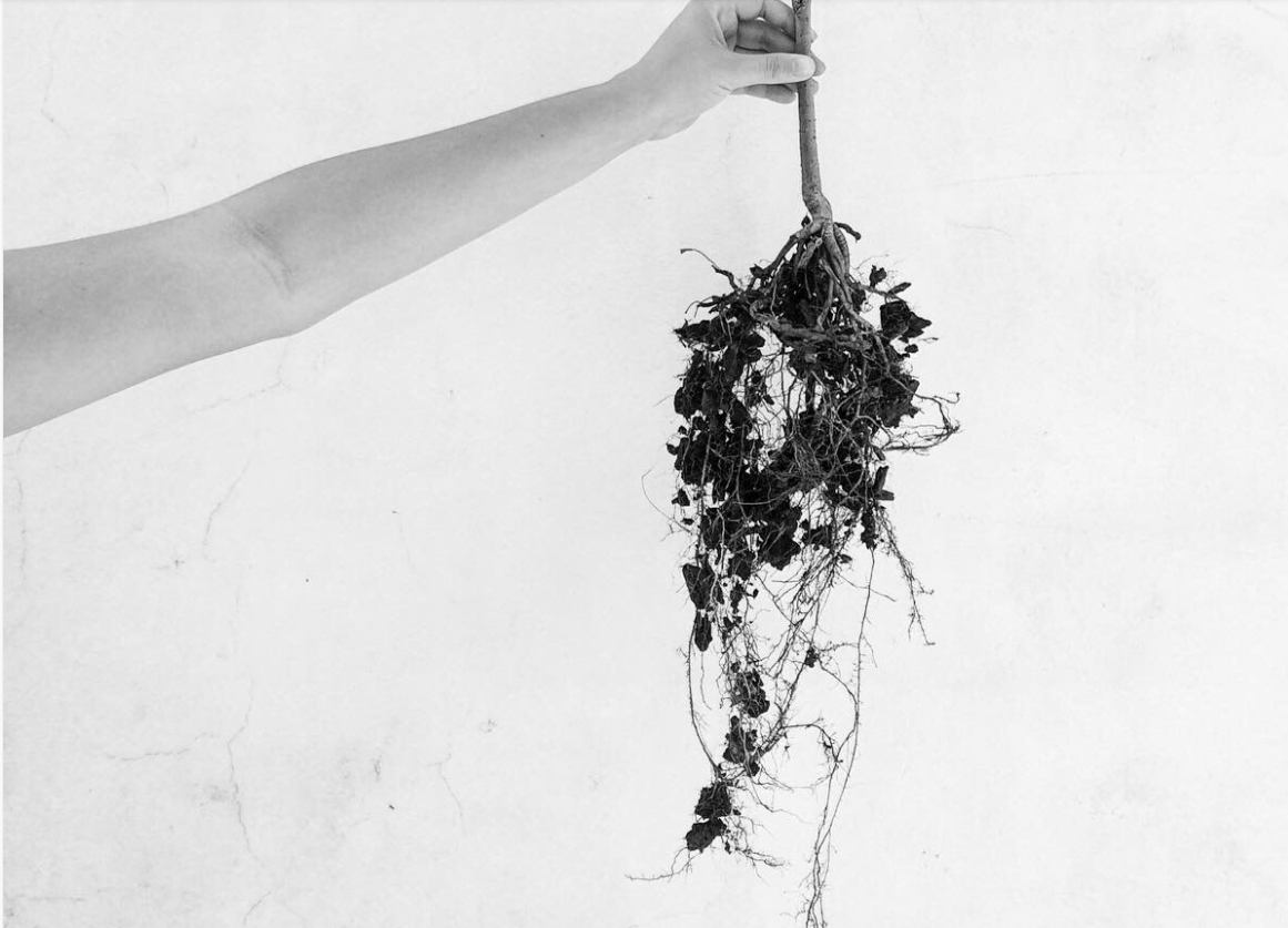 Eu-mulher artista: conheça o trabalho de Carinne Lira