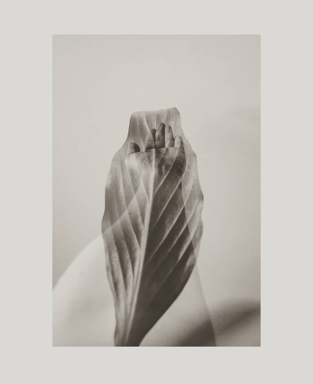 Eu-mulher artista: conheça o trabalho de Luciana Urtiga