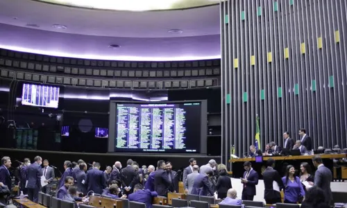 
                                        
                                            Câmara aprova volta do despacho gratuito de bagagem em voos; veja voto dos paraibanos
                                        
                                        