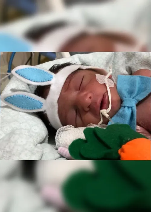 
                                        
                                            Bebês de UTI neonatal ganham ensaio fotográfico de Páscoa em João Pessoa
                                        
                                        