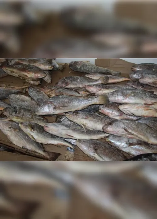 
                                        
                                            Semana Santa: gestores gastam quase R$ 4 milhões em peixes e outros produtos para doações
                                        
                                        