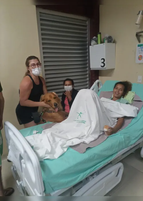 
                                        
                                            Hospital de Trauma de João Pessoa retoma terapia com cães para ajudar na recuperação de pacientes
                                        
                                        