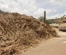 Processo de fabricação da cachaça passa por modernização e aumento da produção na Paraíba