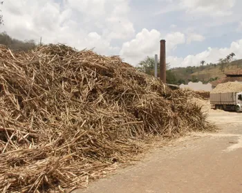 Processo de fabricação da cachaça passa por modernização e aumento da produção na Paraíba