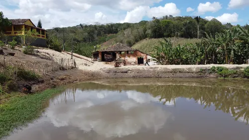 
				
					Engenhos: da rapadura para a desmistificação da dose de cachaça
				
				