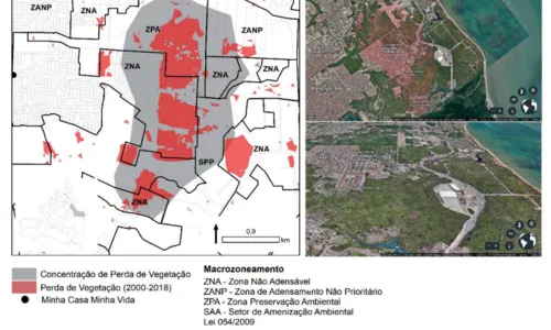 
                                        
                                            Mata Atlântica em João Pessoa: em oito anos, área equivalente a 274 campos de futebol foi devastada
                                        
                                        