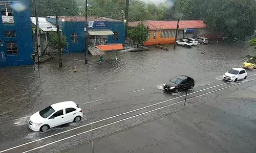 
                                        
                                            Fortes chuvas provocam queda de árvore e alagamentos em João Pessoa
                                        
                                        