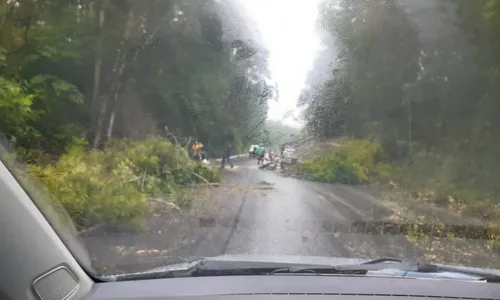 
                                        
                                            Fortes chuvas no Brejo da Paraíba interditam estradas e enchem barragens
                                        
                                        